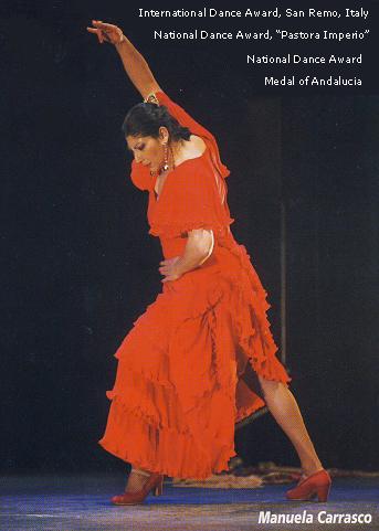 Flamenco Dance Shoes by Manuela Carrasco